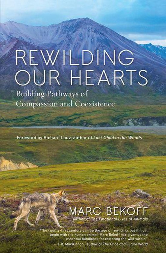 Rewilding Our Hearts