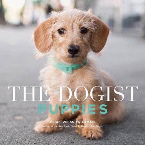 The Dogist Puppies