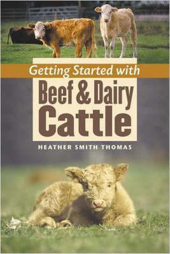 Getting Started with Beef & Dairy Cattle