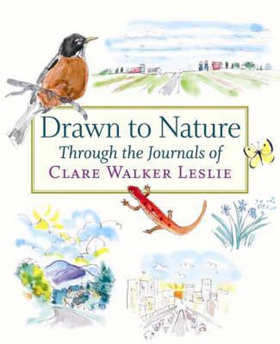 Drawn to Nature Through the Journals of Clare Walker Leslie