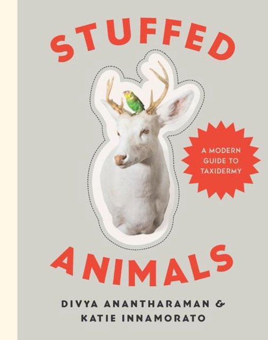 Stuffed Animals - A Modern Guide to Taxidermy