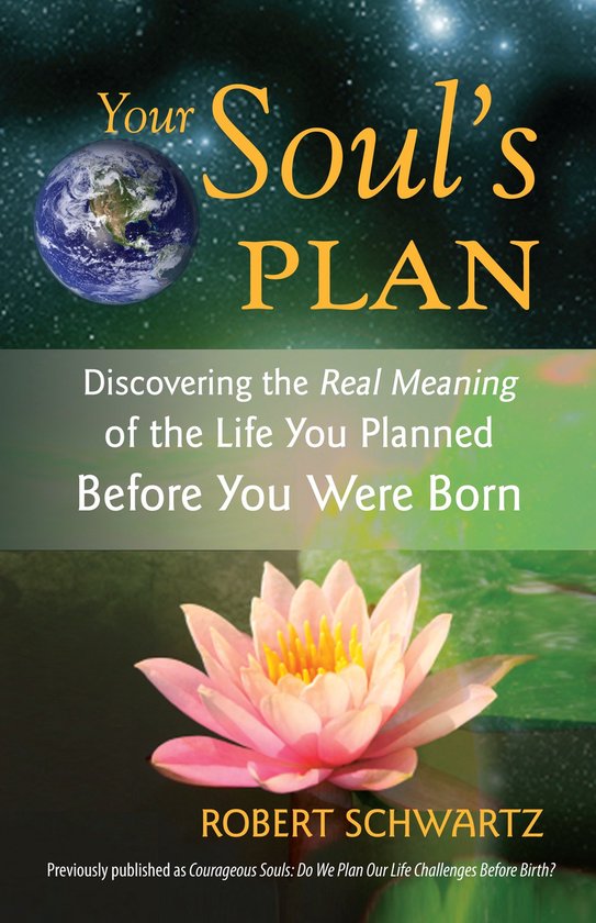 Your Souls Plan