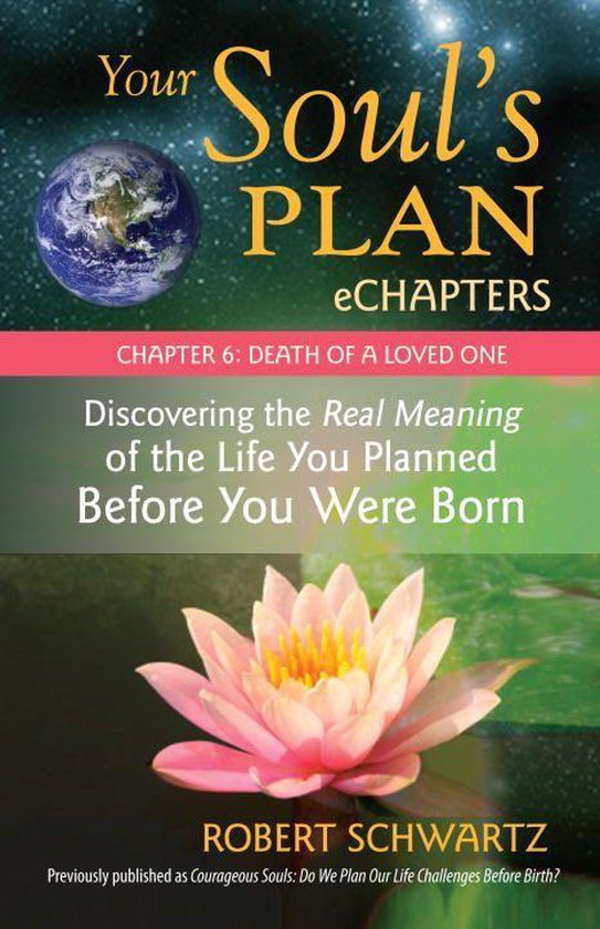 Your Soul's Plan eChapters - Chapter 6: Death of a Loved One