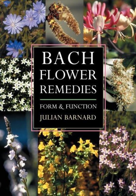 Bach Flower Remedies Form & Function