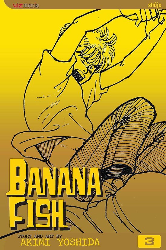 Banana Fish, Volume 3