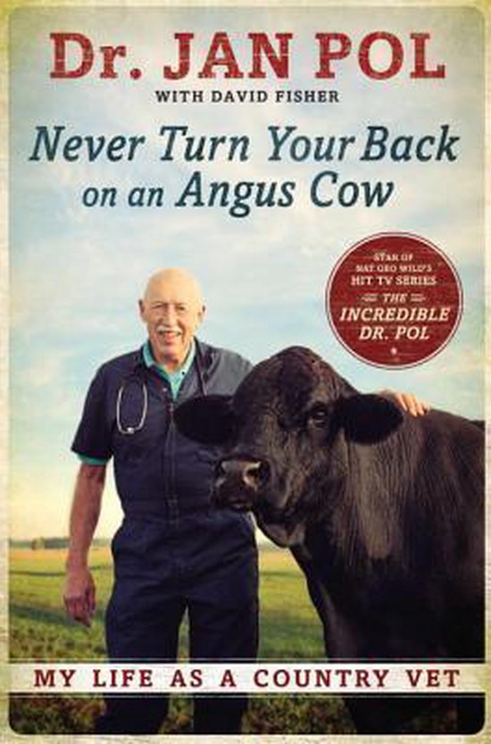 Never Turn Your Back on an Angus Cow