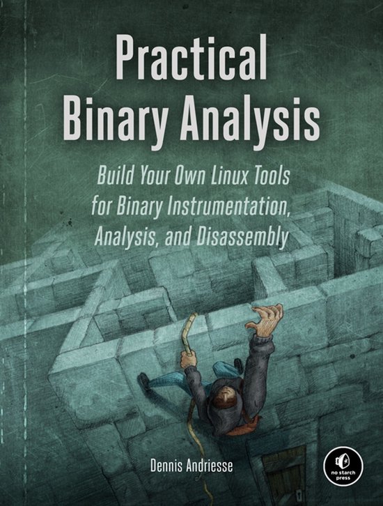 Practical Binary Analysis