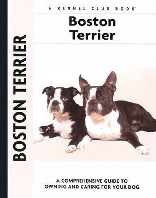 Boston Terrier