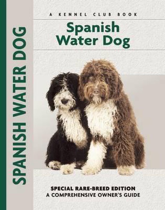 Spanish Water Dog