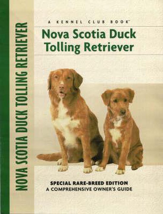 Nova Scotia Duck Tolling Retriever