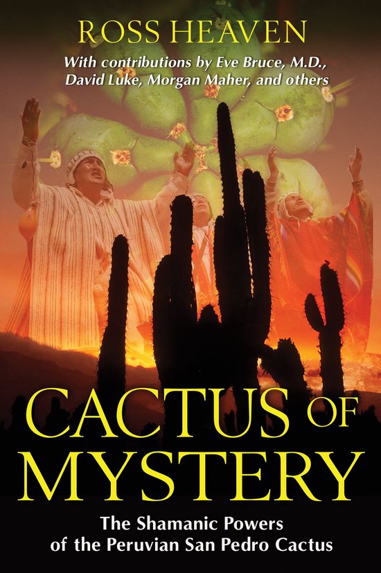 Cactus Of Mystery