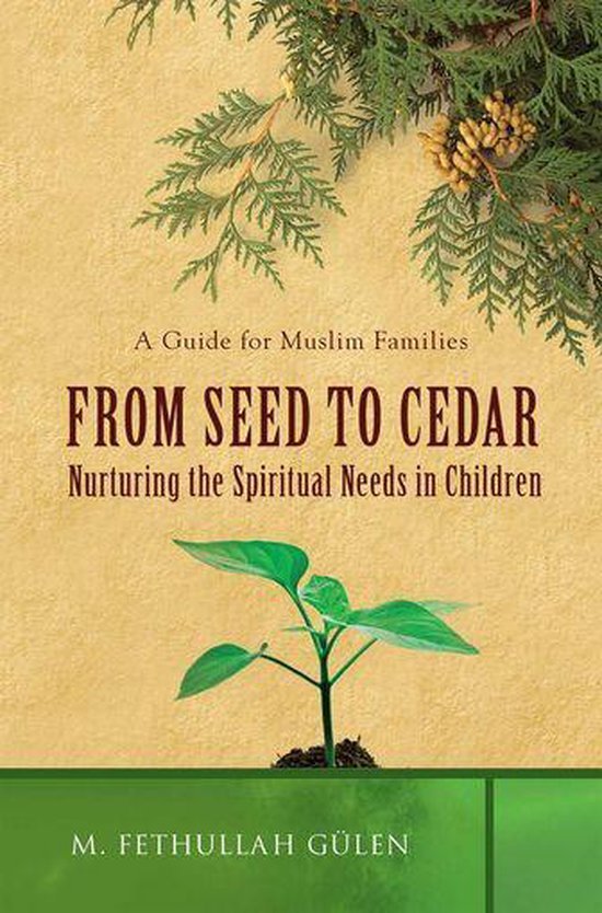 From Seed to Cedar