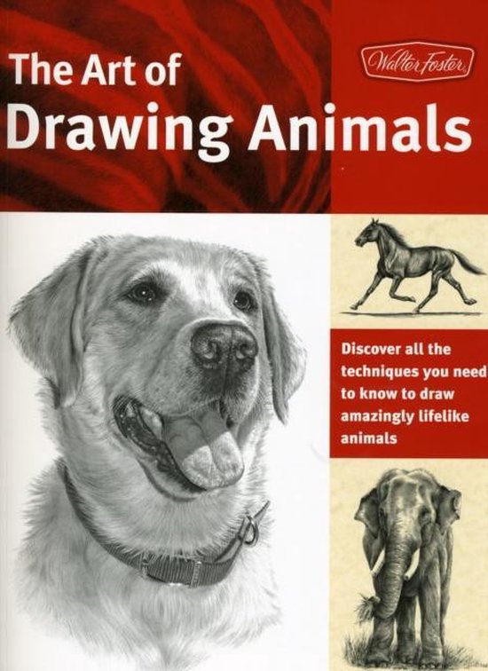 The Art of Drawing Animals