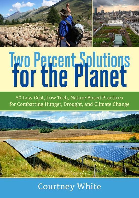 Two Percent Solutions for the Planet