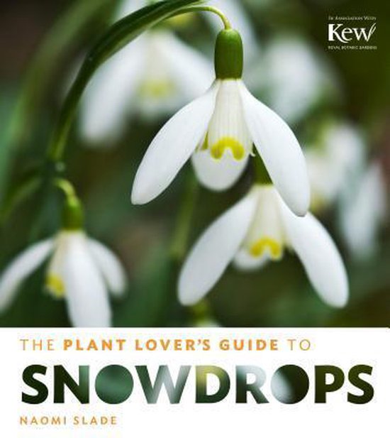 Plant Lover's Guide To Snowdrops