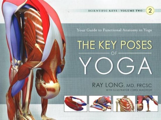 Key Poses of Yoga