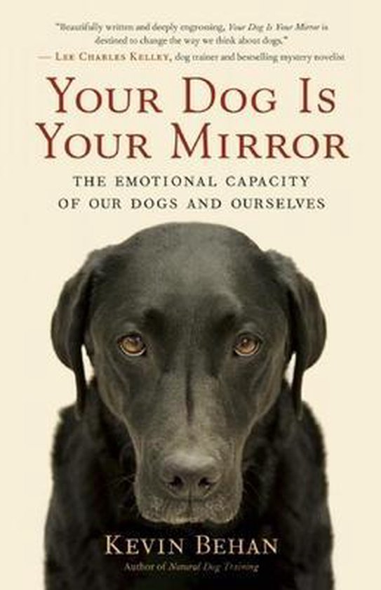 Your Dog Is Your Mirror