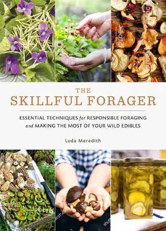 Skillful Forager