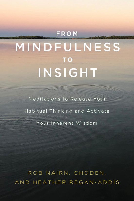 From Mindfulness to Insight