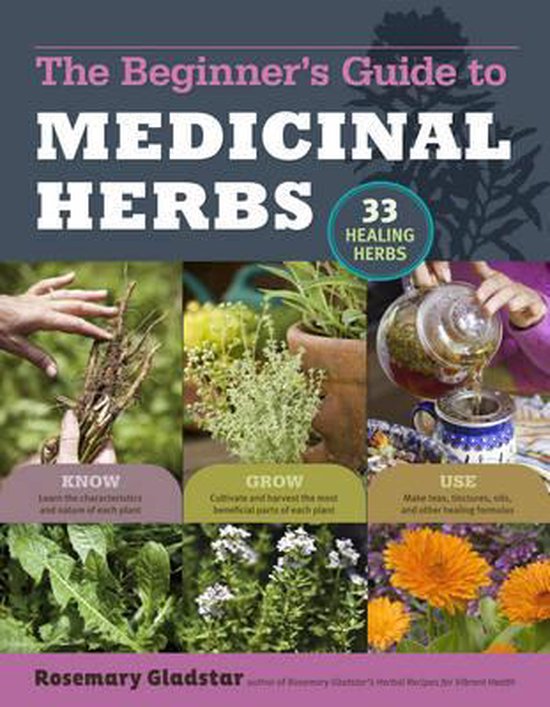 Beginners Guide To Medicinal Herbs