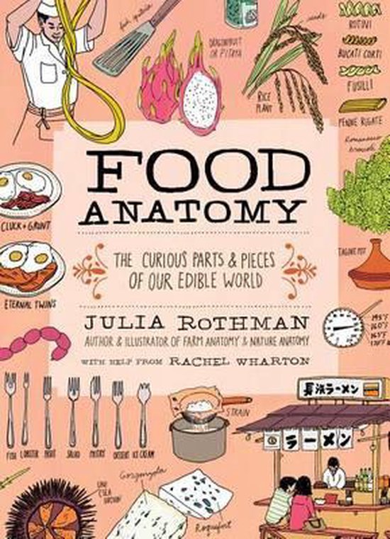 Food Anatomy