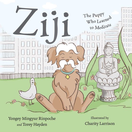 Mingyur, R: Ziji