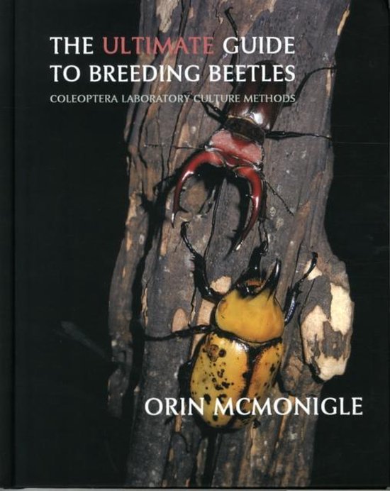 The Ultimate Guide to Breeding Beetles