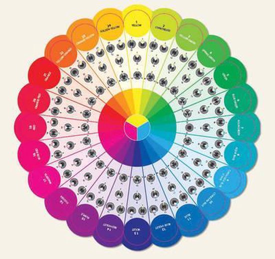 Essential Color Wheel Companion