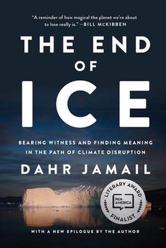 The End Of Ice