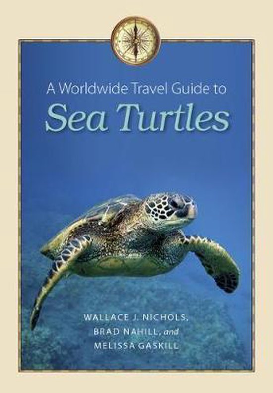 A Worldwide Travel Guide to Sea Turtles