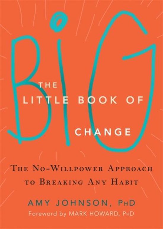 Little Book Of Big Change