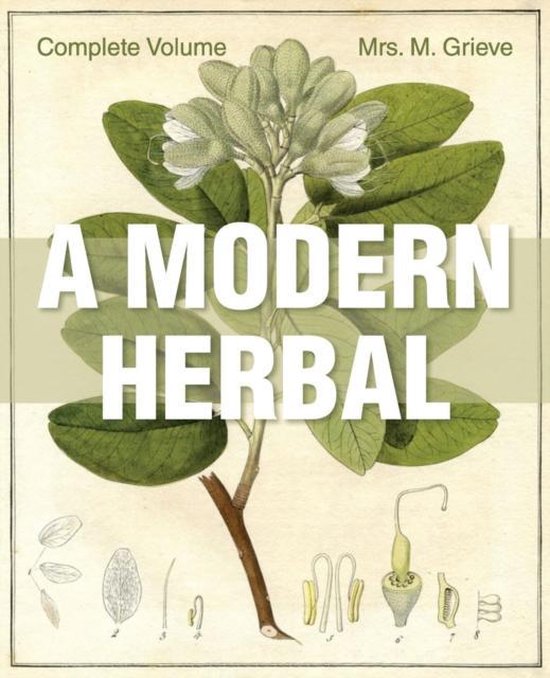 A Modern Herbal