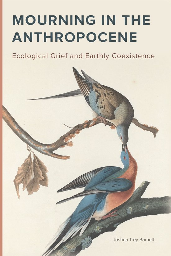 Mourning in the Anthropocene