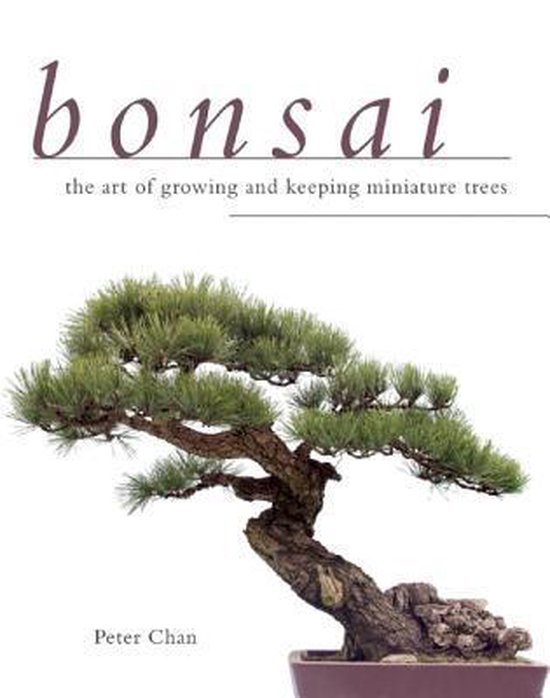 Bonsai