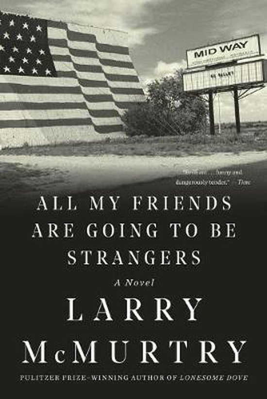 All My Friends Are Going to Be Strangers – A Novel