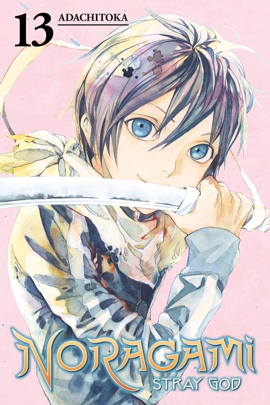 Noragami Vol 13