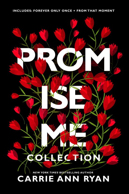 Promise Me - A Promise Me Collection