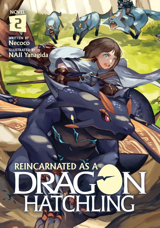 Reincarnated as a Dragon Hatchling (Light Novel) 2 - Reincarnated as a Dragon Hatchling (Light Novel) Vol. 2