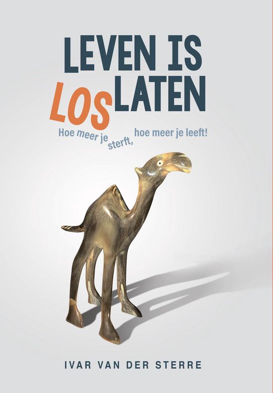 Leven is loslaten    - boek