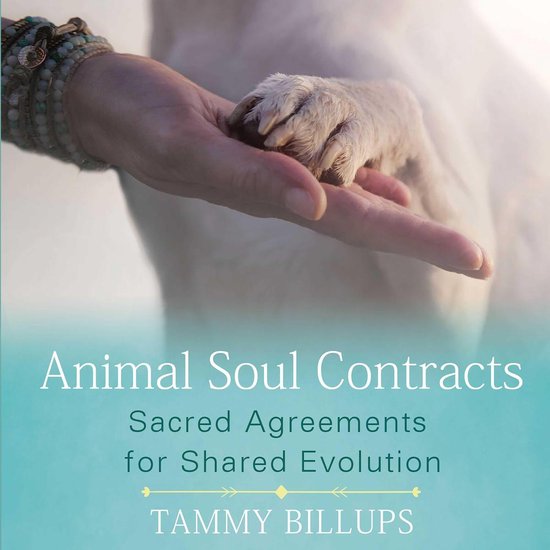 Animal Soul Contracts