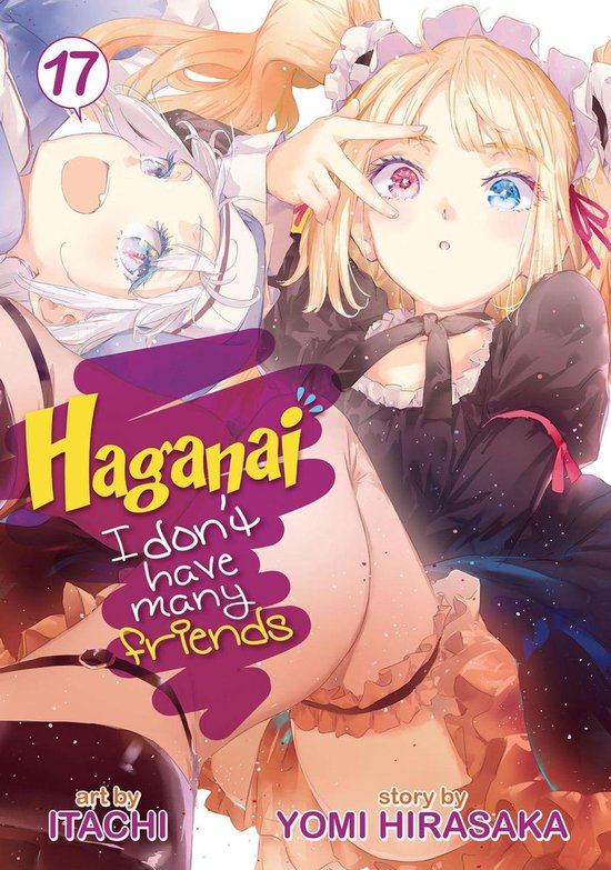 Haganai: I Don't Have Many Friends 17 - Haganai: I Don't Have Many Friends Vol. 17