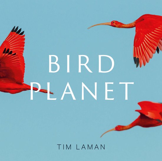 Bird Planet