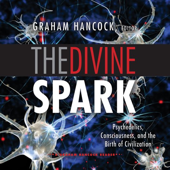 The Divine Spark