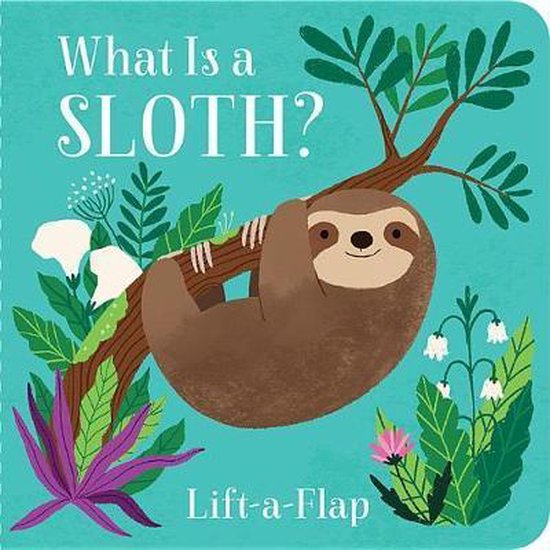 What Is a Sloth?