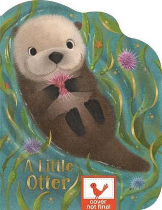 A Little Otter