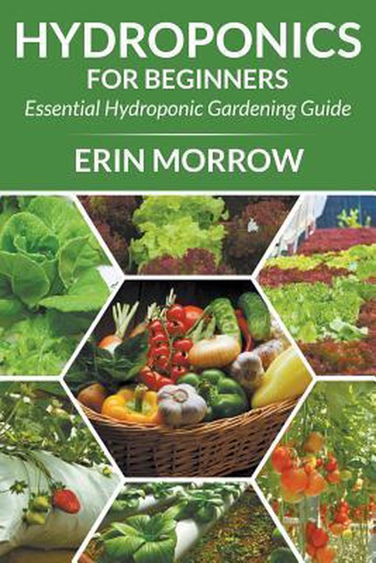 Hydroponics for Beginners