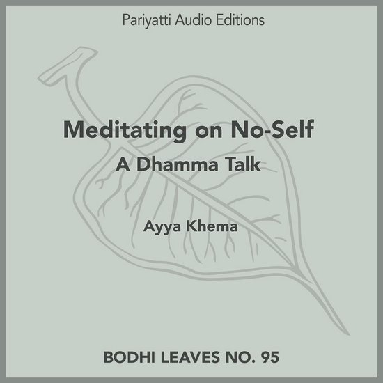 Meditating on No-Self