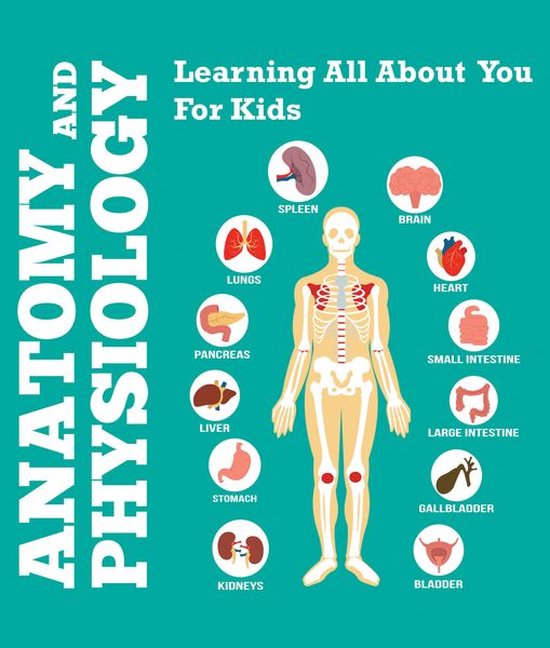 Children's Anatomy & Physiology Books - Anatomy And Physiology: Learning All About You For Kids