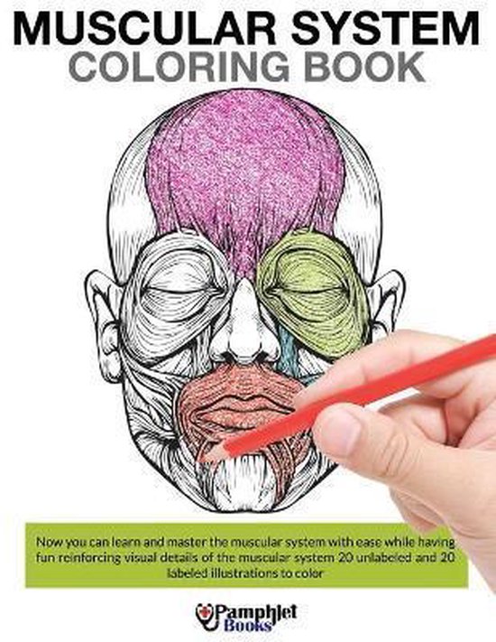 Muscular System Coloring Book