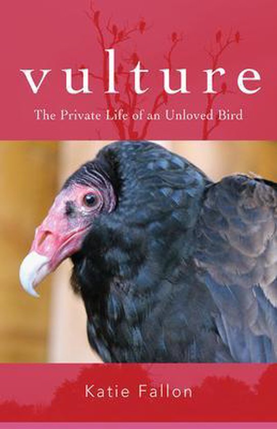 Vulture – The Private Life of an Unloved Bird